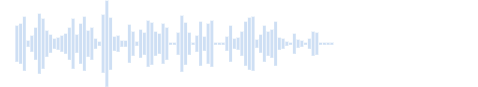 子猫 1